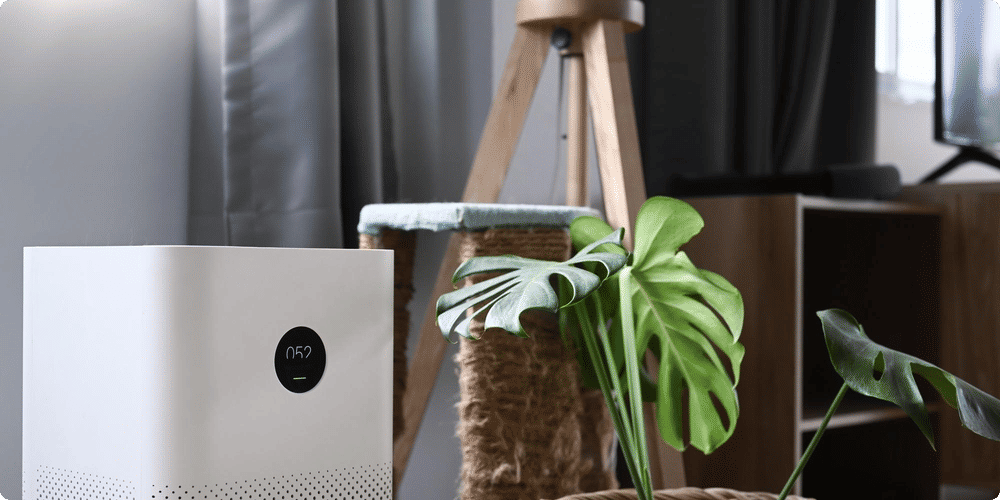 Pourquoi choisir un purificateur d'air pour votre domicile ?